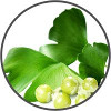 ginkgo biloba extract